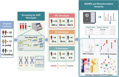 Angiotensin-Converting Enzyme Genotype–Specific Immune Response Contributes to the Susceptibility of COVID-19: A Nested Case–Control Study